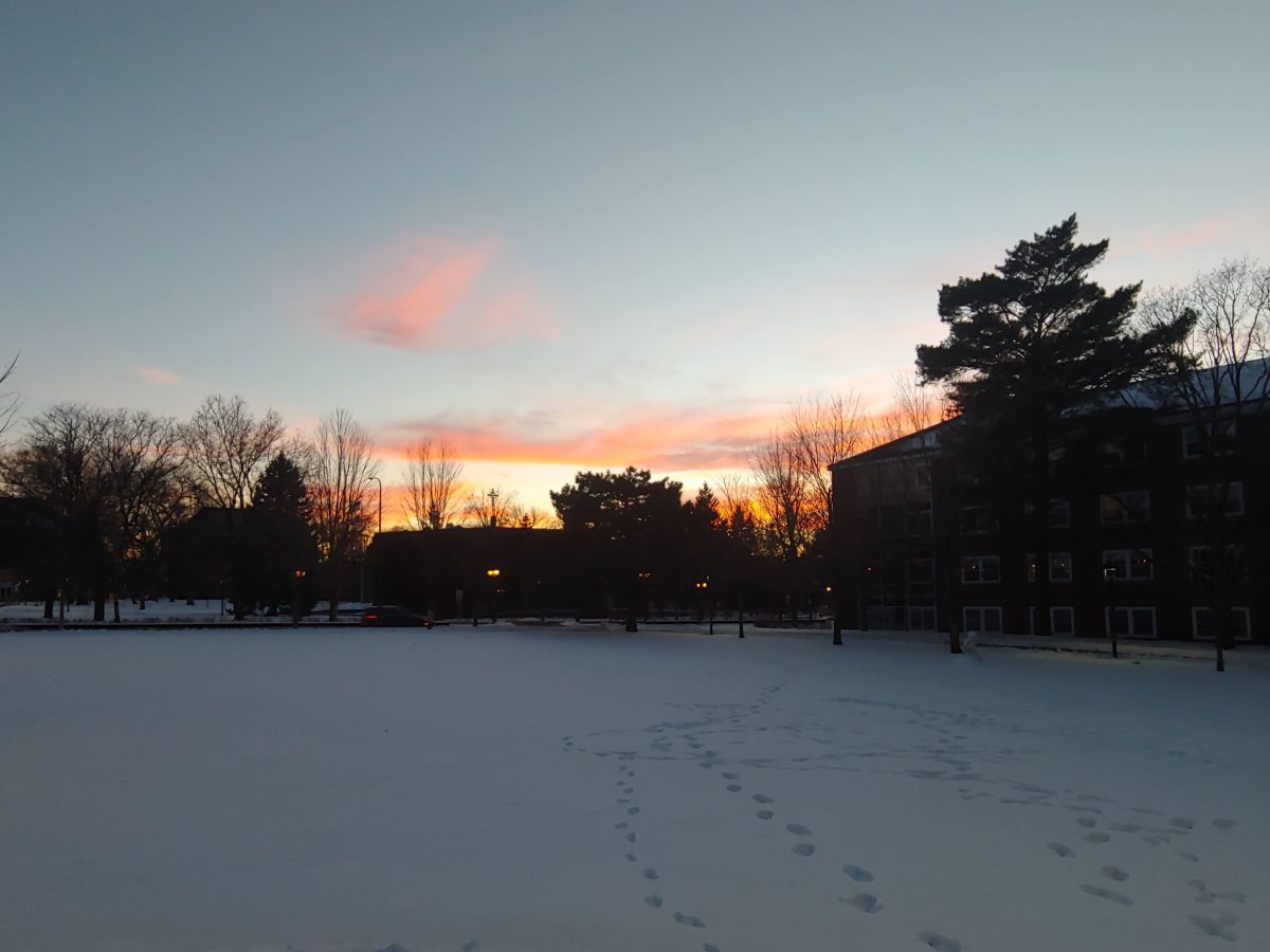 5 Messages from the Snow